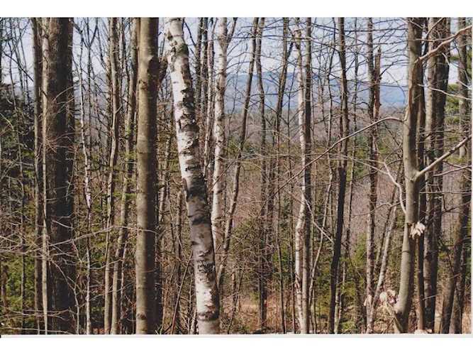 4 Gardiner Dr Londonderry, VT 05148