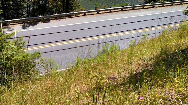 16808 Hwy 116 Guerneville, CA 95446