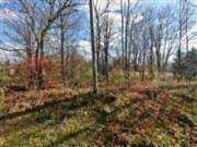 00 Summit Road Pataskala, OH 43062 | MLS 219010675 Photo 1