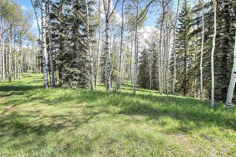 52 Rge Rd Rural Rocky View County, AB T0L 0K0