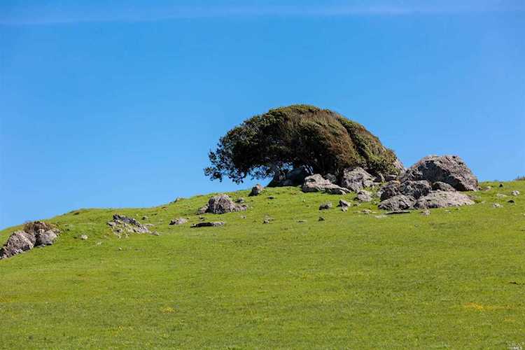 5325 Chileno Valley Road Petaluma, CA 94952