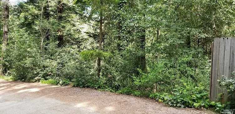 10895 Terrace Drive Forestville, CA 95436
