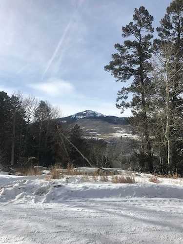 tbd Elk Wallow Rd #29 Placerville, COLORADO 81430