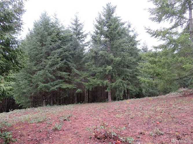 0 Champion Rd Kalama, WA 98625
