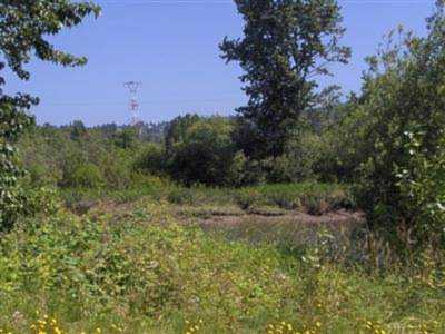 000 Confidential Ave. Cathlamet, WA 98612
