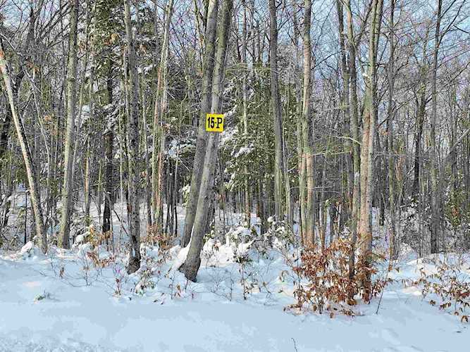 15 P Buzzell Ridge Rd #15 Sandwich, NH 03227