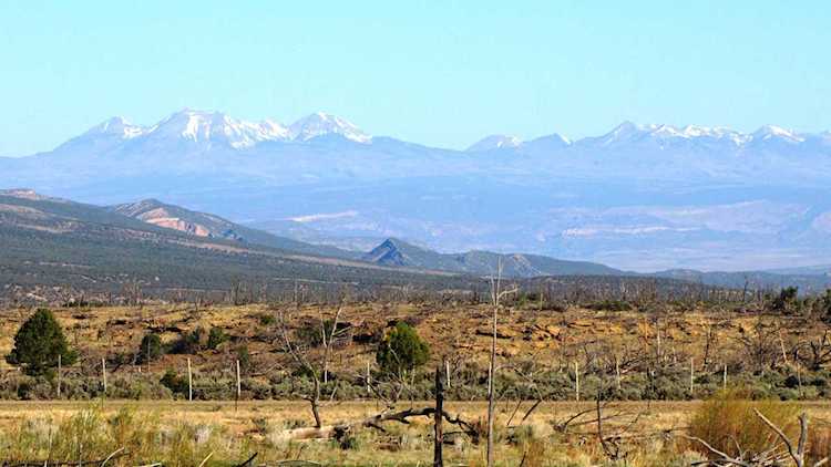 Unassigned U29 Rd Norwood, COLORADO 81423