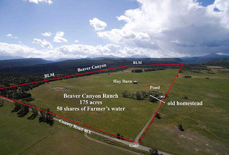 1494 County Road X45 Norwood, COLORADO 81423