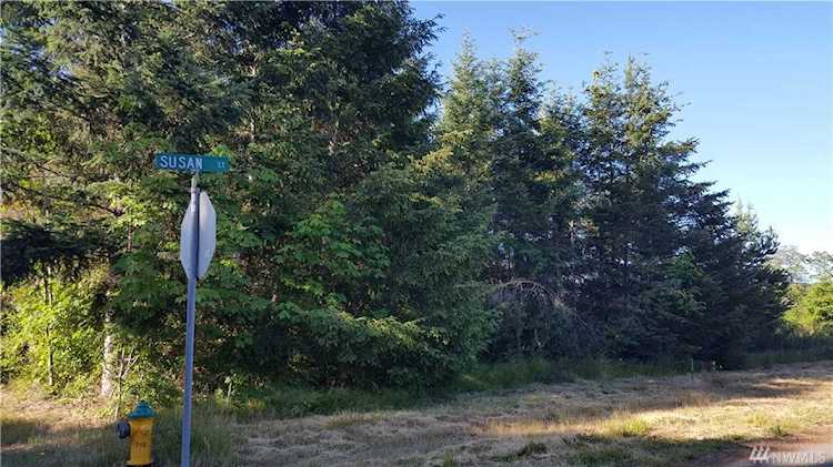 203 Susan St Centralia, WA 98531 MLS# 1477866 | PNWR.com Photo 1