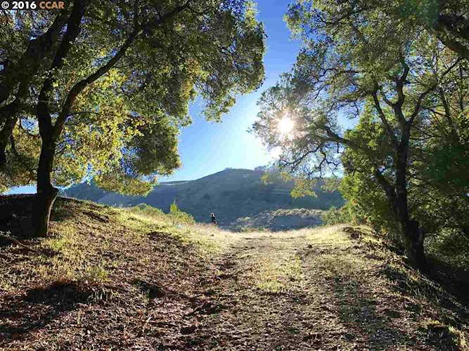 Bollinger Canyon Road Moraga, CA 94556