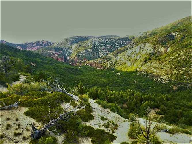 138 Acres On Kanarra Mountian Kanarraville, UT 84742