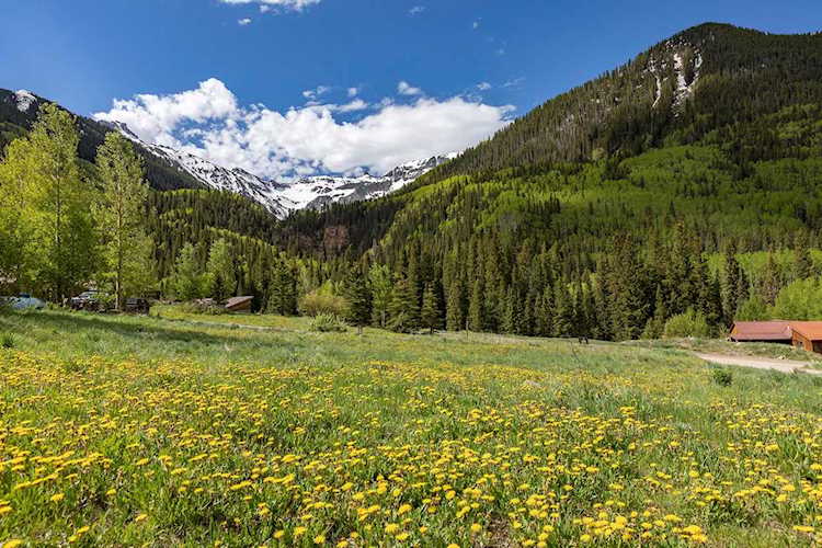 TBD Porphyry St Ophir, COLORADO 81426