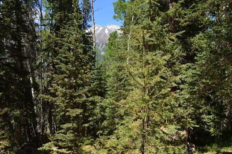 TBD Aspen Park Ct #44 Telluride, COLORADO 81435