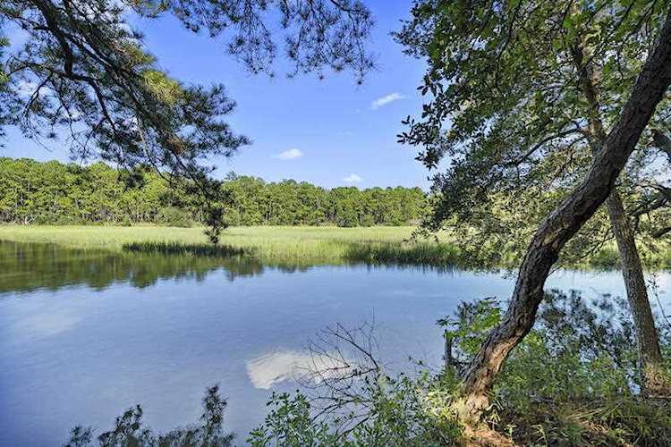315 Martins Creek Ln Charleston, SC 29492 | MLS 19019565 Photo 1