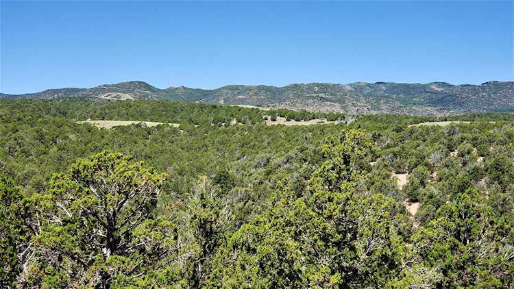 567 Acres West of Kanarraville Kanarraville, UT 84742