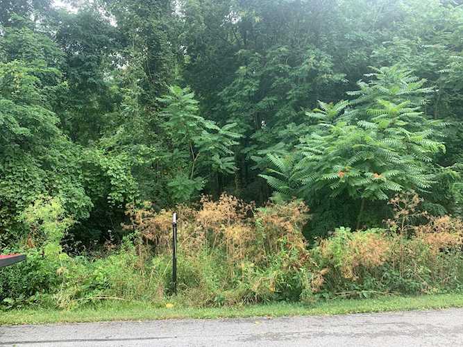 1034 Rollingwood Ln Goshen, KY 40026 | MLS 1537671 Photo 1