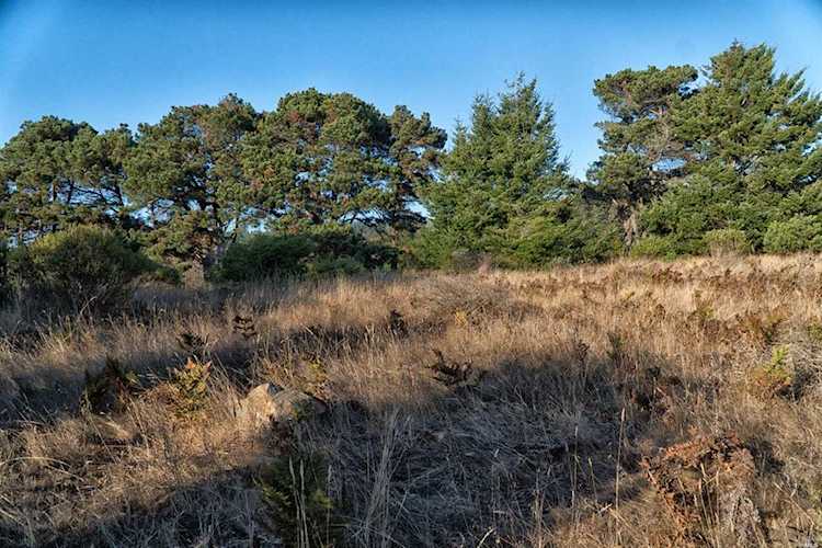 41310 Tallgrass The Sea Ranch, CA 95497