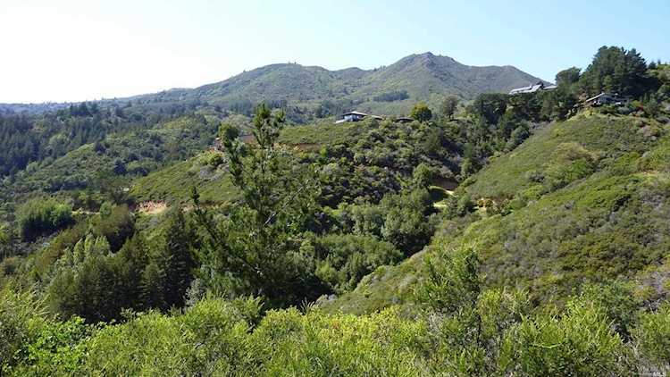 153 Myrtle Avenue Mill Valley, CA 94941