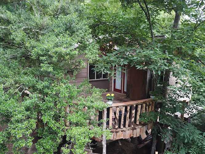 2204 Happy Creek Seymour, TN 37865 | MLS 1083793 Photo 1