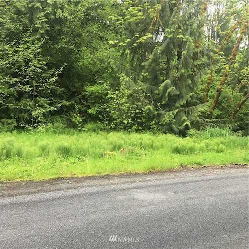 141 Forest Retreat Dr Salkum, WA 98582