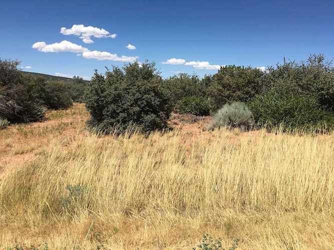 830 W Wipishani LN Kanarraville, UT 84742