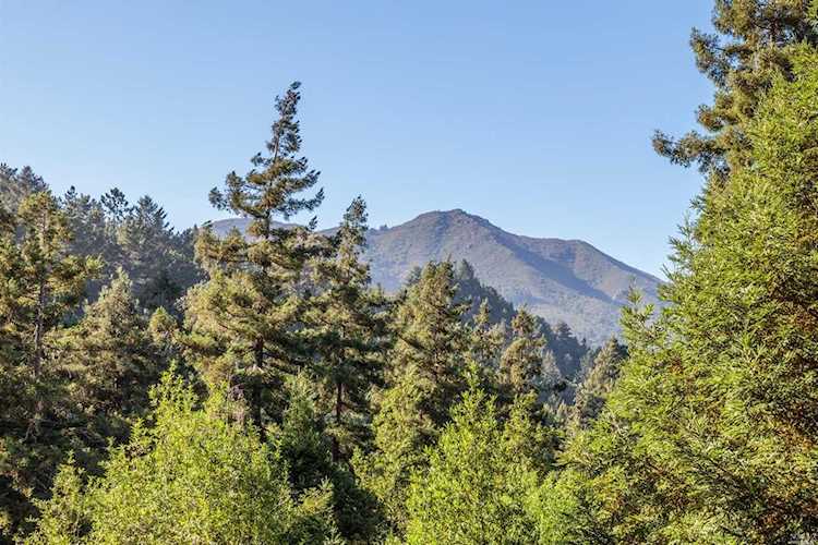 88 Cypress Avenue Mill Valley, CA 94941