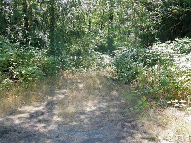 0 Lewis River Rd Ariel, WA 98603 MLS# 1507888 | PNWR.com Photo 1