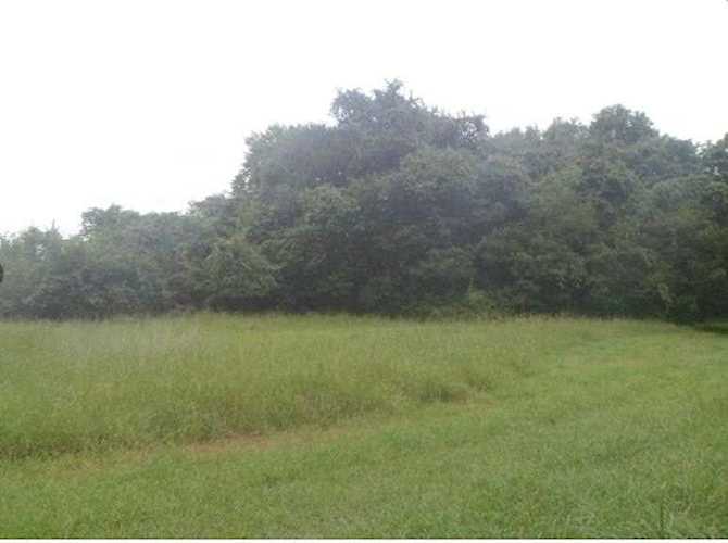 0 Wild Rose Court Hudson Oaks, TX 76087