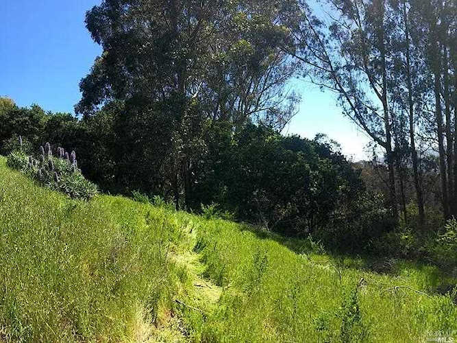 Address Withheld Mill Valley, CA 94941