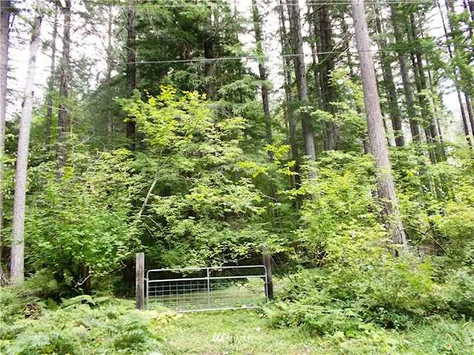 132 Richer Dr Packwood, WA 98361
