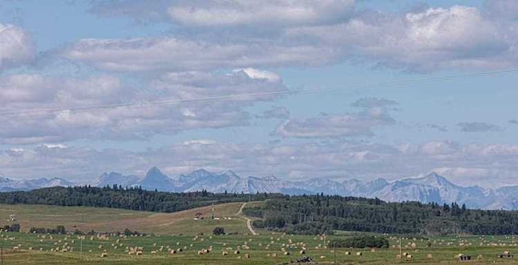 302 Gibson Street W Rural Foothills County, AB T1S 1A1