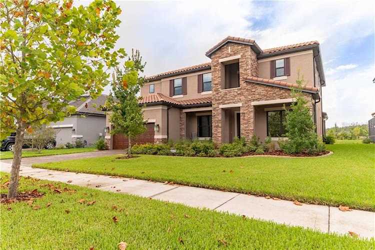 12824 Berrypick Trail Odessa, FL 33556