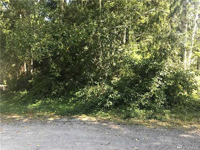 0 229th Lane Ocean Park, WA 98640