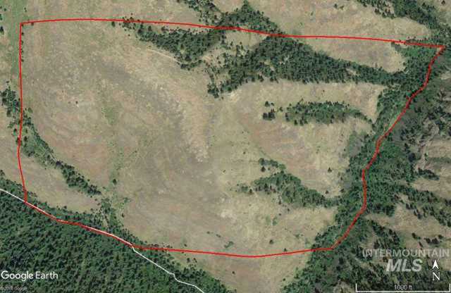 TBD Scully Creek Rd. White Bird, ID 83554