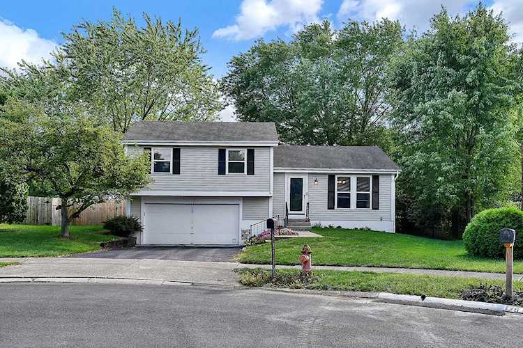 3967 Freedom Ridge Court Gahanna, OH 43230 | MLS 219033573 - Franklin Photo 1