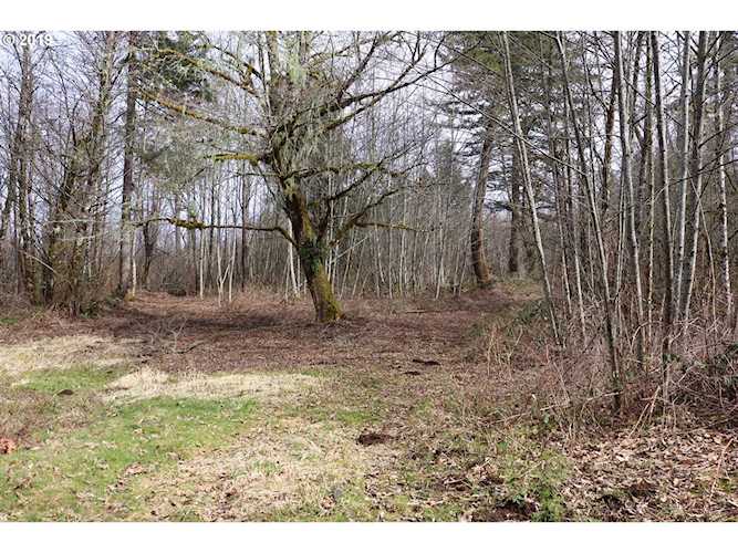 0 NE 399th St Amboy, WA 98601