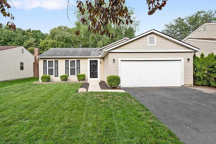 8229 Longhorn Road Powell, OH 43065 | MLS 219033976 - Franklin Photo 1