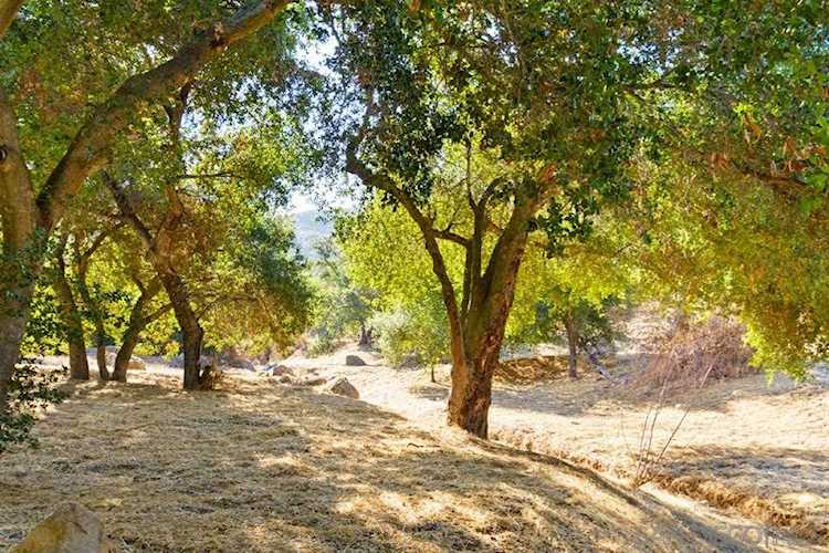 0 Old Coach Rd #0 Poway, CA 92064