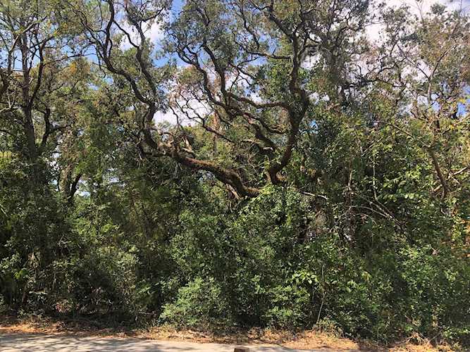 108 Stede Bonnet Wynd Bald Head Island, NC 28461