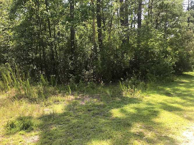 1322 Black Bear Supply, NC 28462 | MLS 100181734 Photo 1