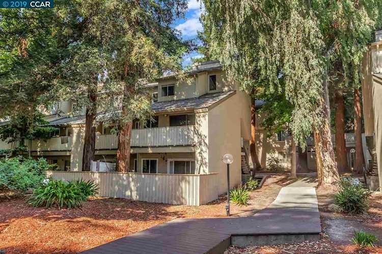 2704 Oak Rd Walnut Creek, CA 94597 | MLS 40877678 Photo 1