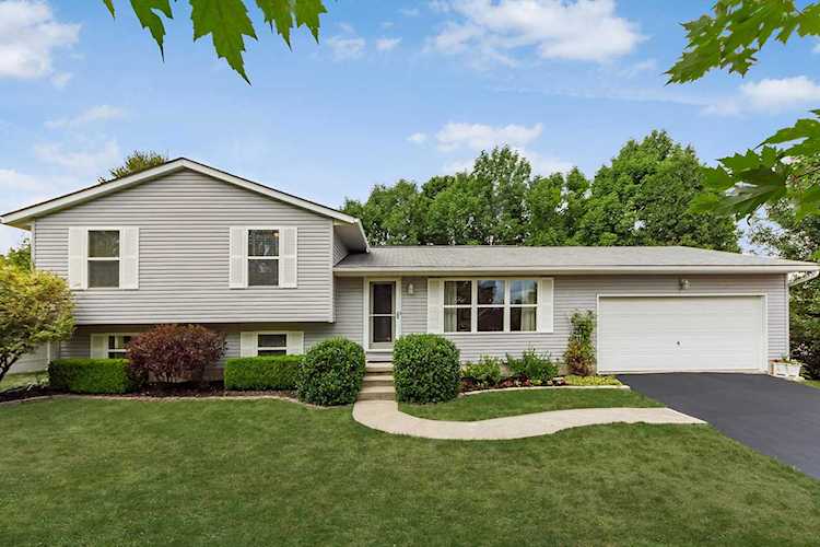 66 W Riverview Drive Powell, OH 43065 | MLS 219032014 Photo 1