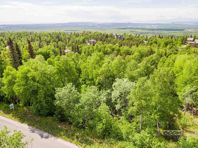 9740 Basher Drive Anchorage, AK 99507