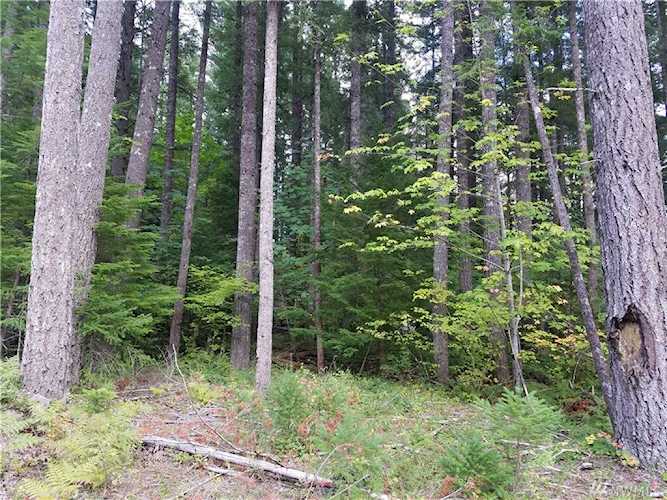0 Cowlitz View Dr Packwood, WA 98361 MLS# 1524547 | PNWR.com Photo 1