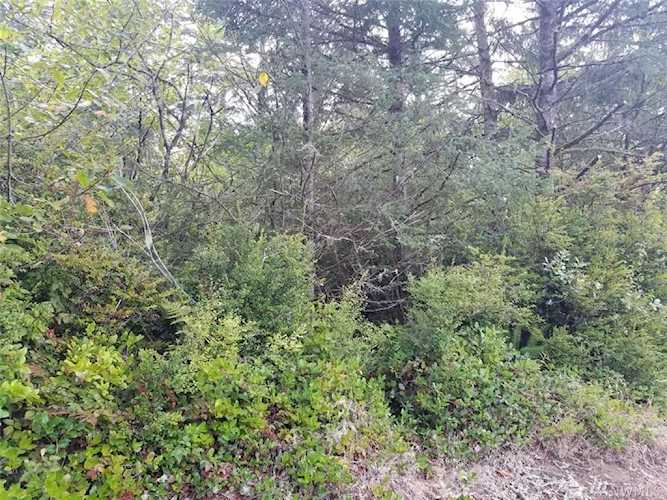 0 R St Ocean Park, WA 98640 MLS# 1524949 | PNWR.com Photo 1