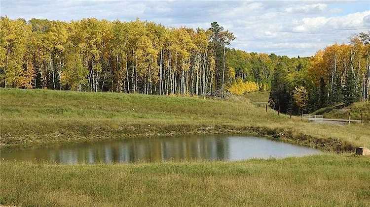 79 Acres Land Bordering Kananaskis Rural Foothills County, AB T0L 0K0