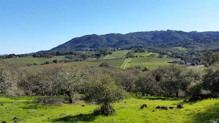 5130 Enterprise Road Glen Ellen, CA 95442 | MLS 21923157 Photo 1