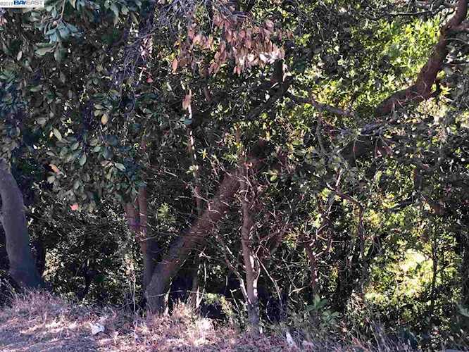6037 E Castro Valley Blvd Castro Valley, CA 94552 | MLS 40884884 Photo 1