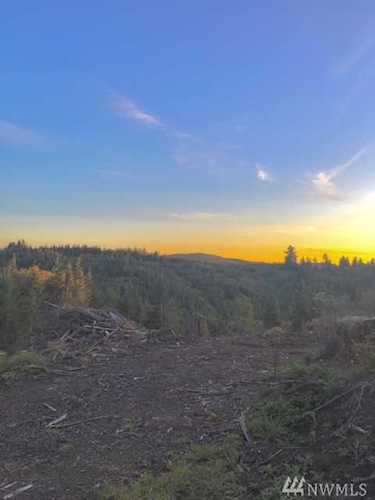 0 Raymond-South Bend Rd Raymond, WA 98577 MLS# 1530458 | PNWR.com Photo 1