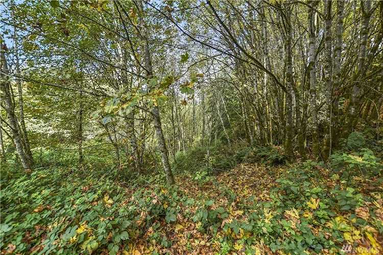 152 Coyote Canyon Rd Kelso, WA 98626